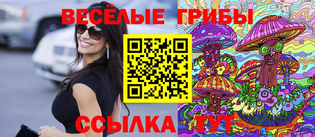 Псилоцибиновые грибы мухоморы  Вход с VPN  Мариинск 